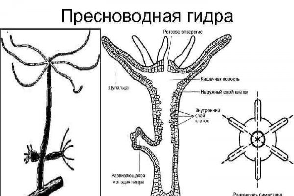 Как попасть на кракен с айфона